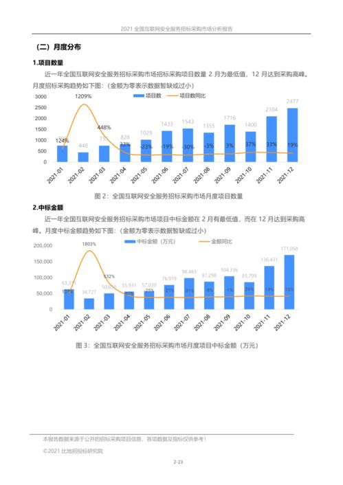 2021年全國互聯(lián)網(wǎng)安全服務(wù)招標(biāo)采購市場分析報(bào)告